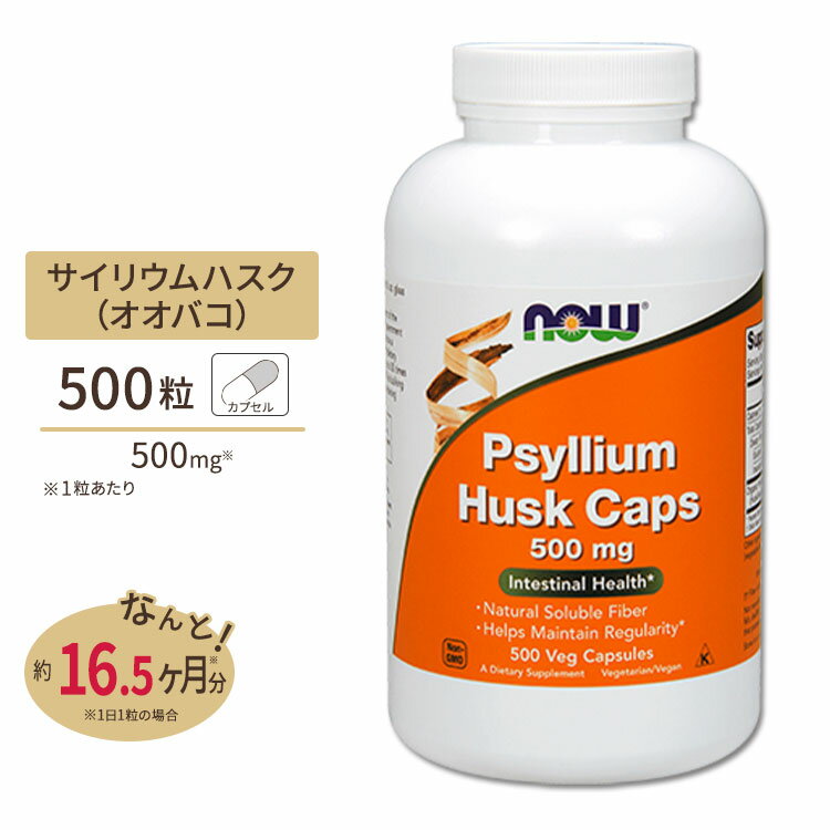 サイリウム ハスク 500mg 500粒 ベジカプセル NO