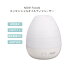 ナウフーズ 超音波 USB エッセンシャルオイルディフューザー NOW Foods Ultrasonic USB Essential Oil Diffuser 超音波式ディフューザー