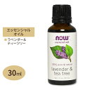 iEt[Y 100%sA x_[&eB[c[ GbZVIC () 30ml NOW Foods Essential Oils Lavender & Tea Tree A}IC