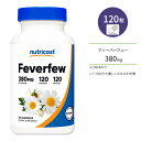 j[gRXg tB[o[t[ JvZ 380mg 120 Nutricost Feverfew Capsules icVMN Ĕe