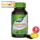 ネイチャーズウェイ クロロフレッシュ 50mg ソフトジェル 90粒 Nature's Way Chlorofresh サプリ グリーンフード クロロフィル エチケット 健康食品 栄養補助食品