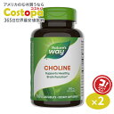 ネイチャーズウェイ コリン 500mg 100粒 Nature's Way Choline 500mg サプリ ビタミンB群 ダイエット