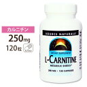 ソースナチュラルズ カルニチン サプリメント L-カルニチン 250mg 120粒 サプリメント サプリ ダイエットサプリ カルニチン配合 Lカルニチン お得サイズ Source Natural