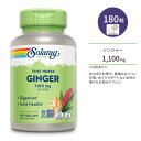 ソラレー ジンジャー (ショウガ) 1,100mg カプセル 180粒 Solaray Ginger Root 180 VegCaps 生姜