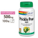 ソラレー ウチワサボテン(ノパルサボテン) 500mg カプセル 100粒 Solaray Prickly Pear Nopal Leaf VegCap