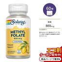 ソラレー メチル 葉酸 1000mcg 60粒 チュアブル レモンフレーバー Solaray Methyl Folate Lemon Lozenges サプリメント ビタミンB レモン 美味しい 天然フレーバー プレママ 赤ちゃん 妊活 妊娠