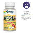 ソラレー メチル ビタミン B-12 5000mcg / メチル 葉酸 800mcg 60粒 チュアブル チェリーフレーバー Solaray Methyl B-12 & Methyl Folate Cherry 60 Lozenges サプリメント ビタミンB B12 チェリー 美味しい