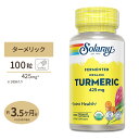 発酵ターメリック425mg 100ベジカプセル Solaray (ソラレー) 二日酔い ウコン アルコール