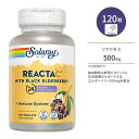 ソラレー リアクタ-C&エルダーベリー 500mg ベジカプセル 120粒 Solaray Reacta-C & Elderberry 徐放型ビタミンC アスコルビン酸 バイオフラボノイド ポリフェノール ローズヒップ アセロラチェリー