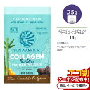 TEH[A[ R[Q rfBO veC yv`h `R[gt@bW 1 25g (0.9 oz) Sunwarrior Collagen Building Protein Peptides Chocolate Fudge A r[KR[Q