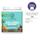 TEH[A[ R[Q rfBO veC yv`h R[q[ 500g (1.1 LB) Sunwarrior Collagen Building Protein Peptides Coffee A r[KR[Q