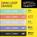 スポーツリサーチ ミニループバンド 5本セット メッシュバッグ付 Sports Research Mini Loop Fitness Bands 5PK with Mesh Bag フィットネス 2