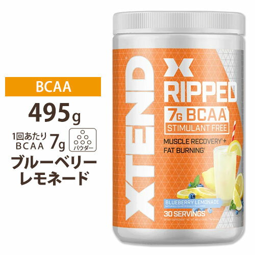 【日本未発売】エクステンド リップド BCAA ブルーベリーレモネード味 495g 約30回分 Scivation サイベーション XTEND