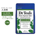 ドクターティールズ ピュアエプソムソルト ユーカリ スペアミント 1.36kg (3lbs) Dr Teal 039 s Relief with Eucalyptus Spearmint Pure Epsom Salt