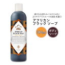 krA we[W AtJ ubN \[v {fBEHbV 384ml (13floz) Nubian Heritage African Black Soap Body Wash {fB \[v