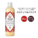 krA we[W RRibc&ppC {fBEHbV 384ml (13floz) Nubian Heritage Coconut & Papaya Body Wash {fB \[v