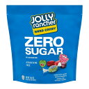 【アメリカウォルマート品】ジョリーランチャー ゼロシュガー アソートフルーツフレーバー ハードキャンディ 18.5 オンス Jolly Rancher Zero...