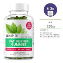 [CY Β KVjA O[R[q[ O~Tvg Abv 60 Zenwise Green Tea Fat Burner Gummies Yx[Pg Nێ K