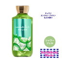 バス&ボディワークス キューカンバーメロン シャワージェル 295 mL (10 fl oz) Bath & Body Works CUCUMBER MELON Shower Gel 肌ケア