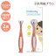 フリーダベビー キッズ ベビー トレーニング 歯ブラシ 2-8歳 FridaBaby TripleAngle Toothhugger Training Toothbrush