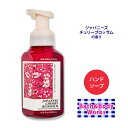 oX&{fB[NX tH[~O nh\[v ̍ 259ml (8.75oz) Bath & Body Works Gentle & Clean Foaming Hand Soap A^Cv Wpj[Y`F[ubT