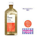 バス&ボディワークス オレンジ+ジンジャー アロマセラピー ボディウォッシュ&フォームバス 295ml (10floz) Bath&Body Works Orange Ginger Aromatherapy Body Wash and Foam Bath クレンジング 泡 アロエ