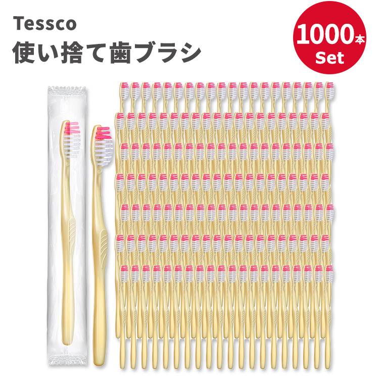 eXR ĝĎuV 1000{Zbg Tessco 1000 Pcs Disposable Toothbrushes