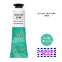 【最大2000円OFFクーポン】バス&ボディワークス ハンドクリーム ユーカリ ラベンダー 29ml (1floz) Bath & Body Works Euc...