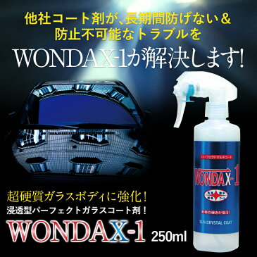 送料無料 WONDAX-1 ワンダックスワン ガラスコーティング剤 コート剤 250ml ワンダックス ガラスコート ガラスコート剤 ノンシリコン プロ仕様 コーティング ボディコート ノンシリコーン ワックス 車 車コーティング剤 黄砂 対策 送料無料 サンプル プレゼント