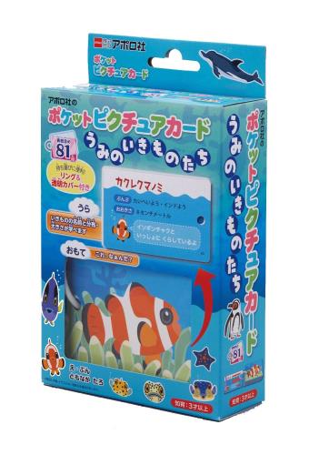 エポック社 【ポケットピクチュアカード】 うみのいきものたち 08-304 リング&透明カバー付き 3歳以上 おもちゃ エポック社 【ポケットピクチュアカード】 うみのいきものたち 08-304 リング&透明カバー付き 3歳以上 おもちゃ