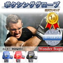 EVERLAST ボクシンググローブ オンスグローブ 6オンス 8オンス 10オンス 12オンス キックボクシング トレーニング 格闘技 男女兼用 子供 スパー...