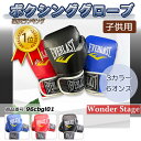 楽天ランキング1位獲得!子供用 EVERLAST ボクシンググローブ オンスグローブ6オンス 小学校低学年 キッズ 子供 男の子 女の子 キックボクシング トレ...