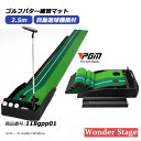 ゴルフ パター 練習 パット マット パターマット 自動返球機能 ライン付き 2.5m 2ホール ゴルフトレーニング 室内 おうち 118gpp01