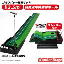 ゴルフ パター 練習 パット マット パターマット 自動返球機能 ライン付き 2.5m 2ホール ゴルフトレーニング 室内 おうち 118gpp01