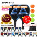 【ポイント4倍UP!】 楽天ランキング2冠獲得!ピックルボール パドル 軽量ピクル ボール ラケット×2個 ボール4個付き 木製 スポーツ アウトドア レジャー 家族 カップル フレンドリー 初心者 セット ゲーム フィットネス 耐久性 軽い 操作性 トレーニング 練習用 172pcb01