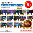 【ポイント4倍UP!】楽天ランキング2冠達成!ピックルボール パドル 軽量ピクル ボール ラケット×2個 ボール4個付き USAPA承認マーク USAマーク カーボンファイバー スポーツ アウトドア レジャー 家族 カップル 初心者 上級者 セット ゲーム 耐久性 軽い 172pcb10