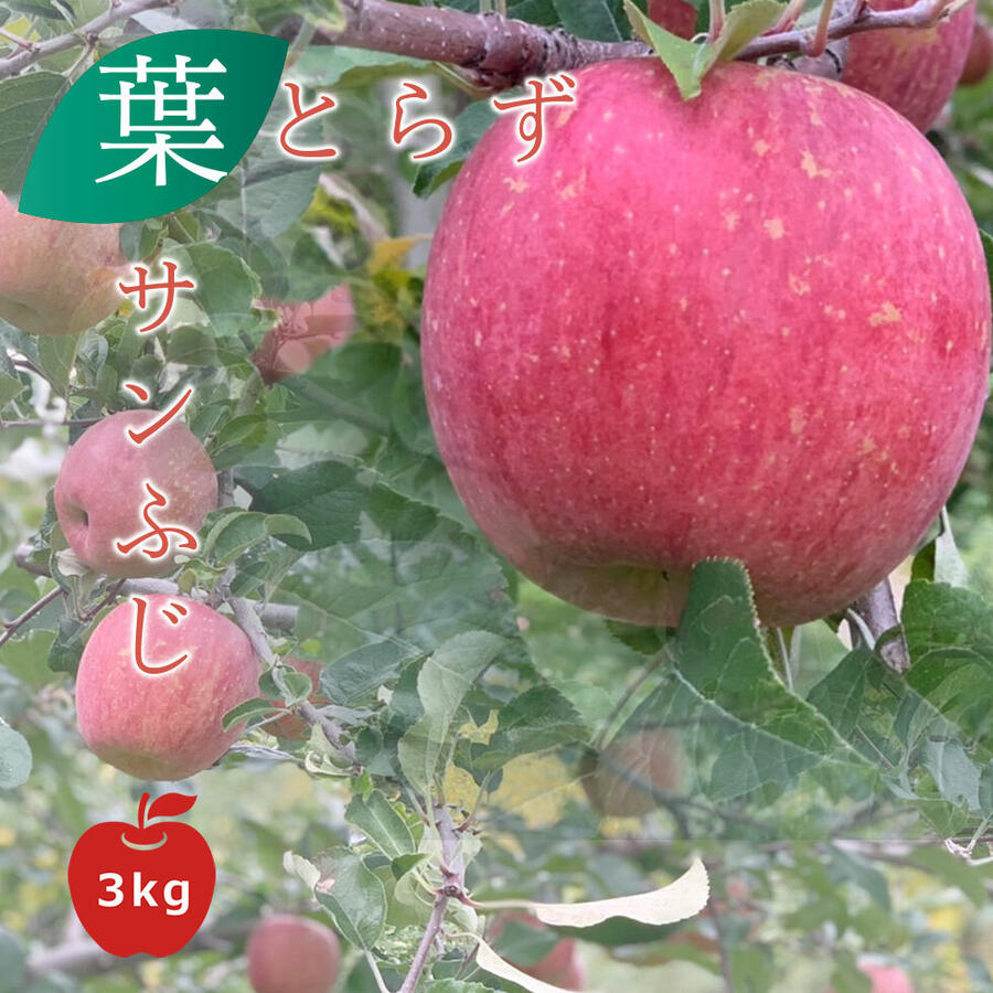 12月15日発送開始予定 青森県産りんご 葉とらずサンふじ Aクラス 3kg箱入 予約販売 期間限定 産地直送 リンゴ 【先行予約期間：12月4日注文分まで】 送料無料のサムネイル