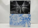【中古】【未組立】1/144 RG ZGMF-X20A ストライクフリーダムガンダム チタニウムフィニッシュ 専用拡張エフェクトユニット“天空の翼” 「機動戦士ガンダムSEED DESTINY」 プレミアムバンダイ限定<プラモデル>(代引き不可)6587