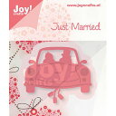 6002-0430/WCENtc/_Ci^j/Just Married uC_J[