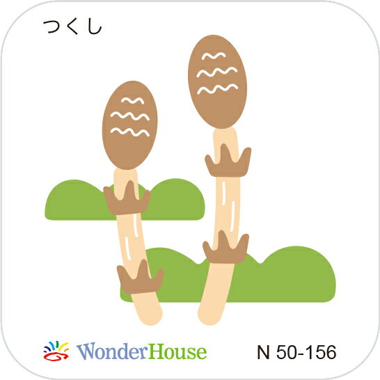 N50-156/ワンダーハウス/ダイ（抜型）/horsetail つくし ツクシ 土筆