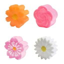 ぷかぷか フラワーパーク 50個セット