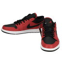 NIKE iCL/GAW[_1LOW/553558-605/28/YXj[J[/SN/94yÁz