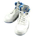 NIKE iCL/AIRJORDAN5 RETRO/DD0587-140/28.0/YXj[J[/BN/79yÁz