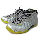 NIKE iCL/NIKE AIR FOAMPOSITE ONE PRM /575420-004/29.0cm/YXj[J[/BCN/84yÁz