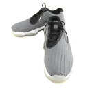 NIKE iCL/AIR JORDAN FUTURE LOW/718948-004/29cm/YXV[Y/SN/64yÁz