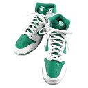 NIKE iCL/DUNK HI RETRO BTTYS Xj[J[/DV0829-300/30.0cm/YXj[J[/ABN/79yÁz