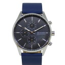 SKAGEN XJ[Q/YNmOt/NI[c/VF/SKW6653/112***/Yv/BN/64yÁz