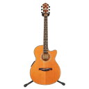 Ibanez ACoj[Y/AR[XeBbNM^[/AEG60SE/OZ101000191/BN/67yÁz