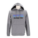 patagonia パタゴニア/ロゴ アップライザル フーディ/パーカー/39539SP20/Bランク/05【中古】