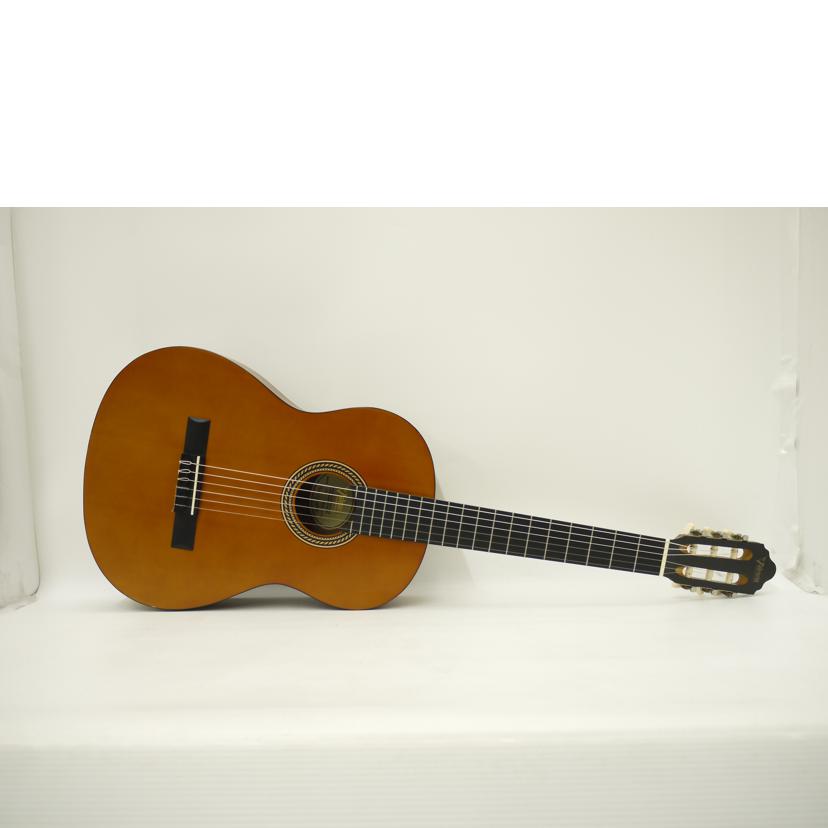 Valencia 󥷥/ƥå/VC204/477042/AB/69š